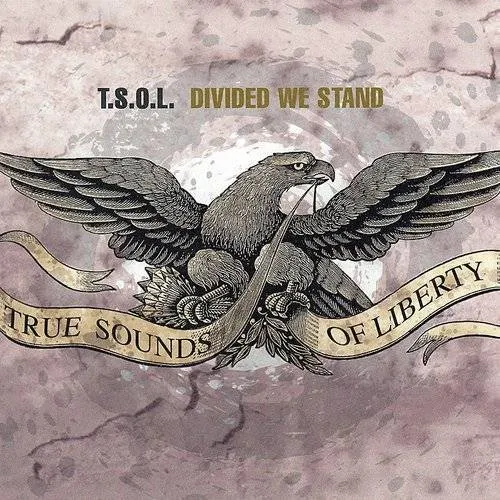 Divided We Stand