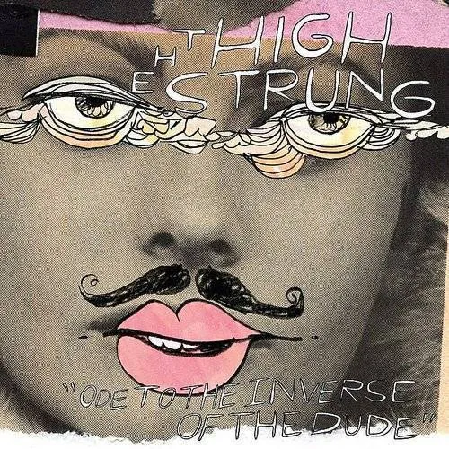 High Strung - Ode To The Inverse Of The Dude vinyl record cover