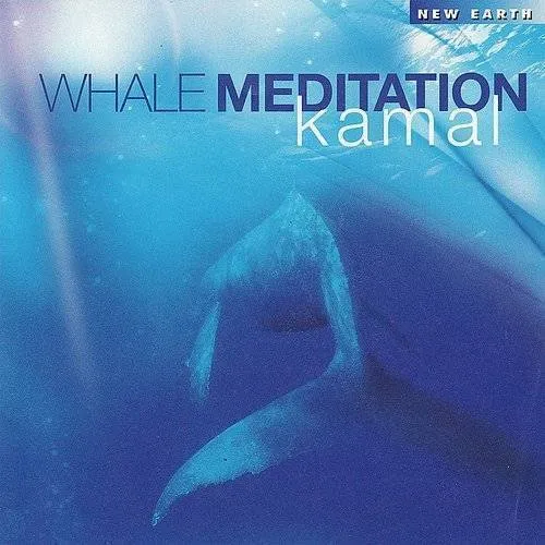 Whale Meditation