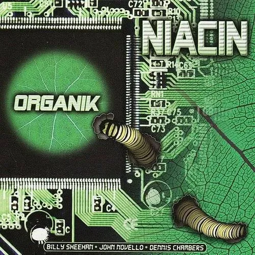 Organik