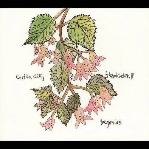 Begonias