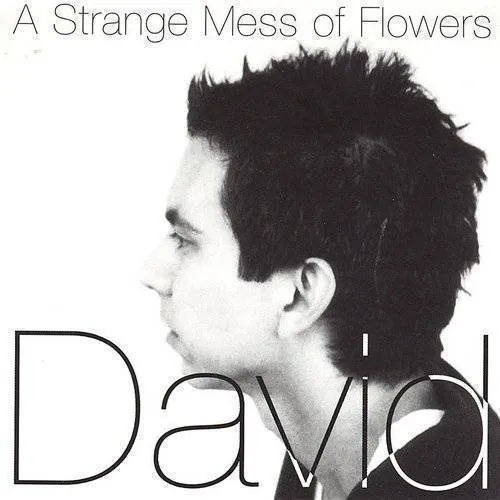 A Strange Mess of Flowers