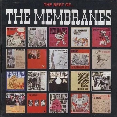 Best Of Membranes