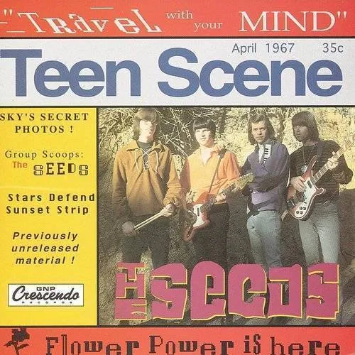 The Seeds - Travel With Your Mind
