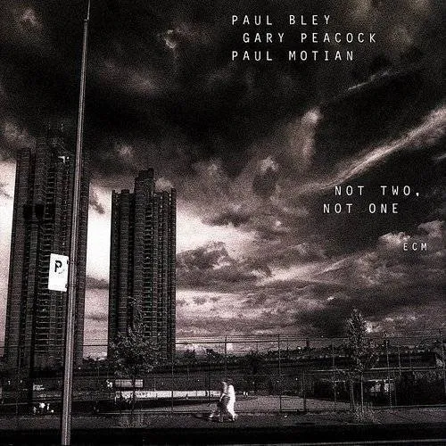 Paul Bley - Not Two Not One vinyl record cover