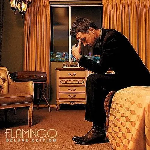 Brandon Flowers - Flamingo vinyl record cover