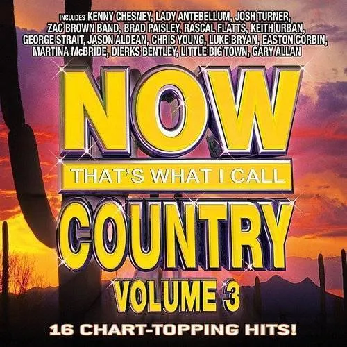 Vol. 3-Now That's What I Call Country
