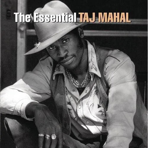 Essential Taj Mahal
