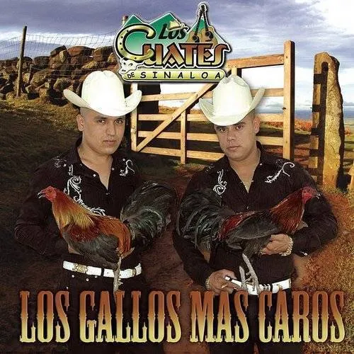 Los Gallos Mas Caros