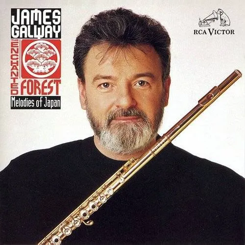 Enchanted Forest-Melodies Of J