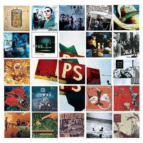 Toad The Wet Sprocket - P.S.: A Toad Retrospective