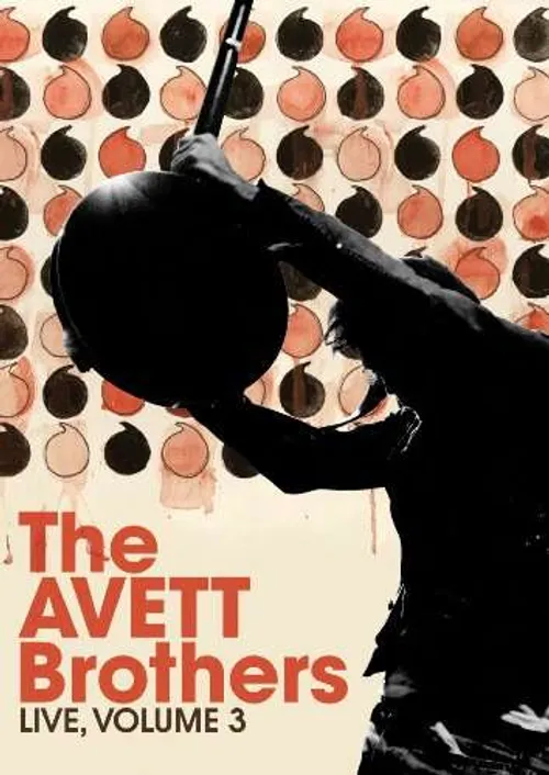 The Avett Brothers - Live 3