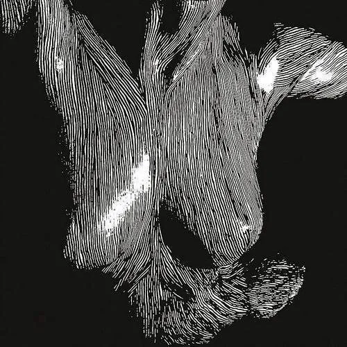 Self Preserved While The Bodies Float Up (Aniv)