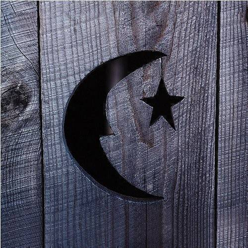 Phish - Farmhouse [Limited Edition Northern Lights 2LP]