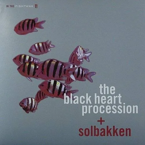 Black Heart Procession - In The Fishtank 11