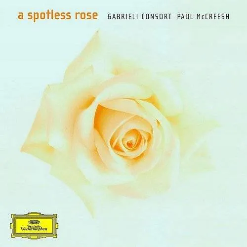 Spotless Rose