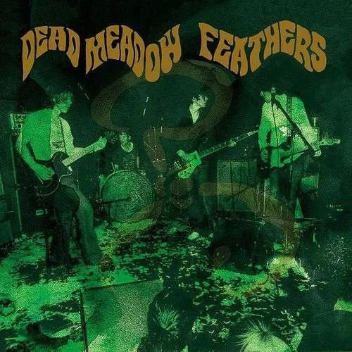 Dead Meadow - Feathers