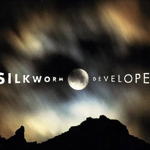 Silkworm - Developer