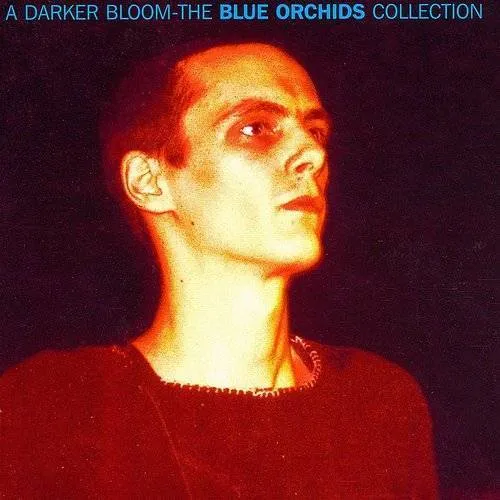 Darker Bloom