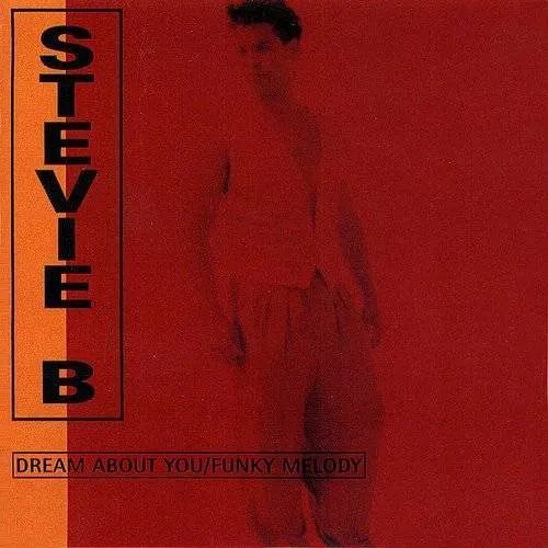 Stevie B. - Funky Melody vinyl record cover