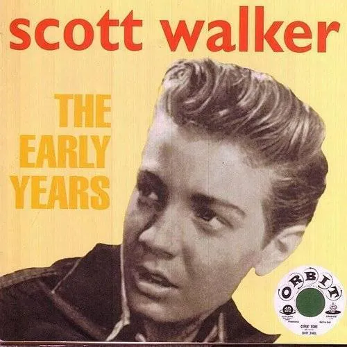 Salteens - The Early Years vinyl record cover