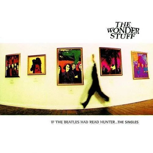 Singles - Had the Beatles Read Hunter