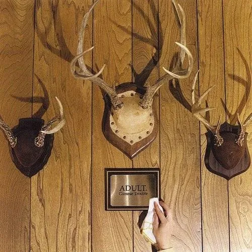 Adult - Gimmie Trouble