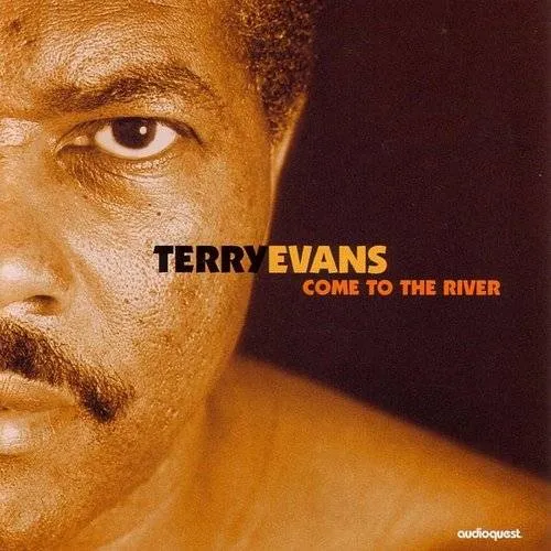 Terry Evans - Come to the River vinyl record cover