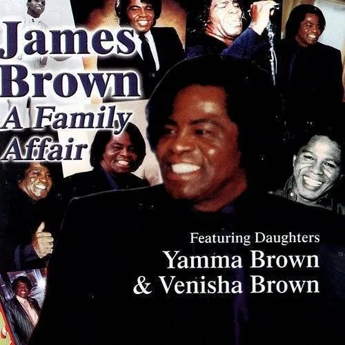 James Brown - Family Affair vinyl record cover