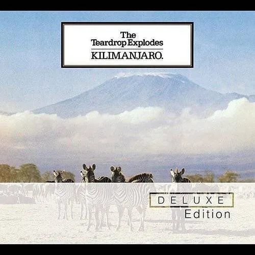 Teardrop Explodes - Kilimanjaro (Uk) vinyl record cover