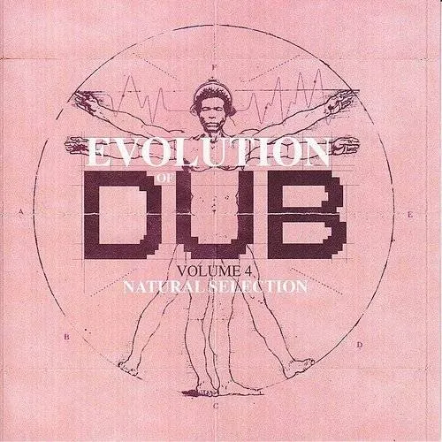 Vol. 4-Evolution Of Dub