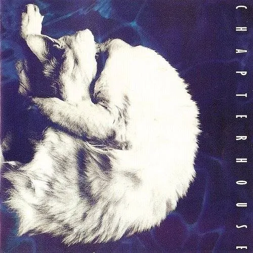 Chapterhouse - Whirlpool [Black Vinyl]