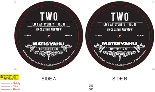 Matisyahu - Two vinyl record cover