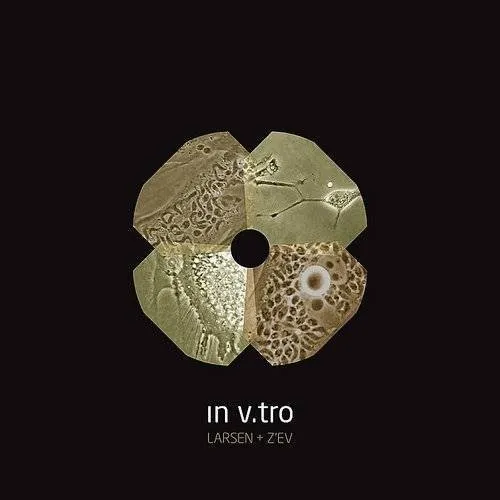 In V.Tro