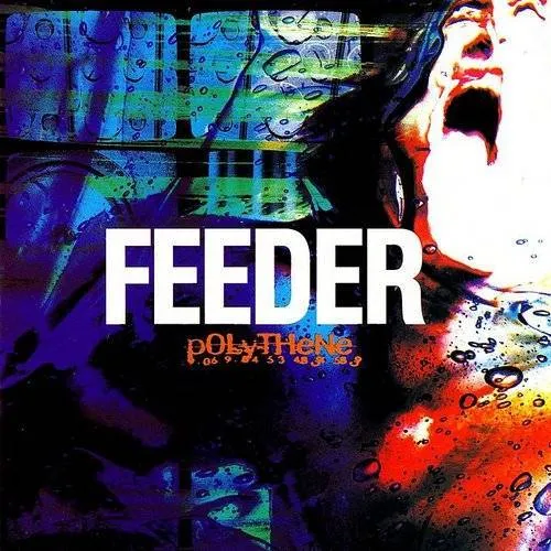 Feeder - Polythene
