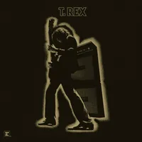 Electric Warrior