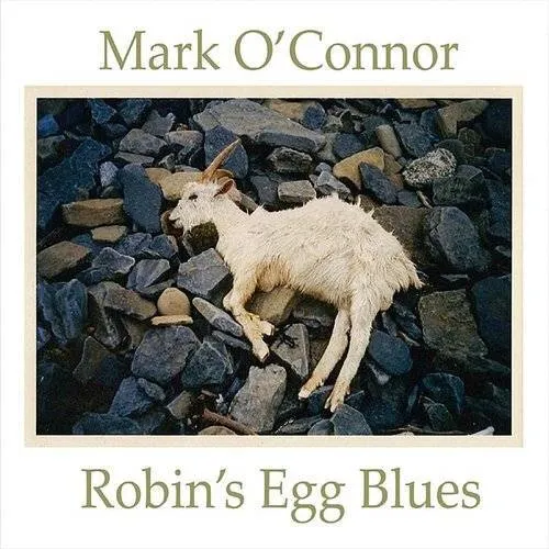 Robins Egg Blues