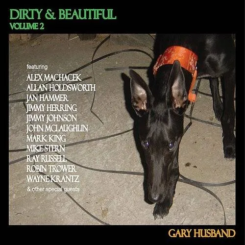 Vol. 2-Dirty & Beautiful