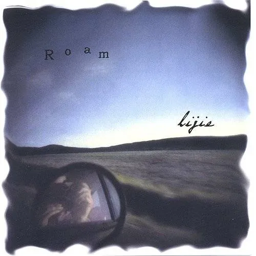 Li Jie - Roam vinyl record cover