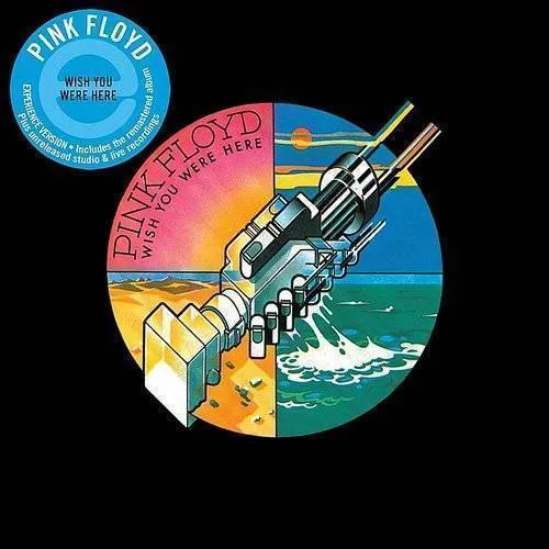 Pink Floyd - Wish You Were Here: Immersion Edition [Import]
