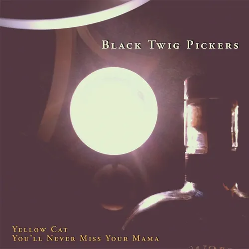Black Twig Pickers - Yellow Cat vinyl record cover