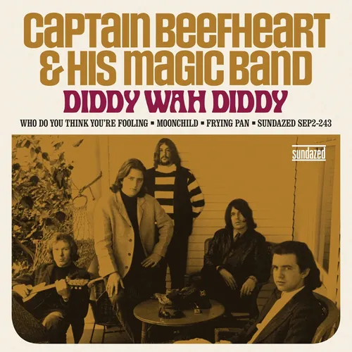 Diddy Wah Diddy/Who Do You Think You A