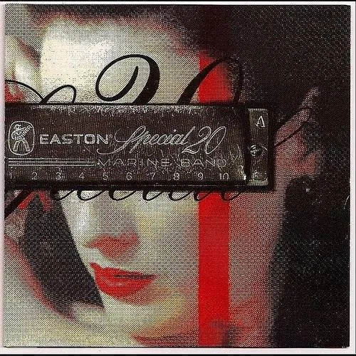 Tim Easton - Special 20 vinyl record cover