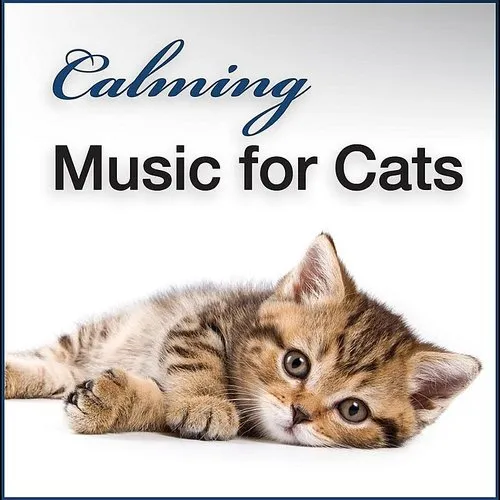 Calming hot sale music cats