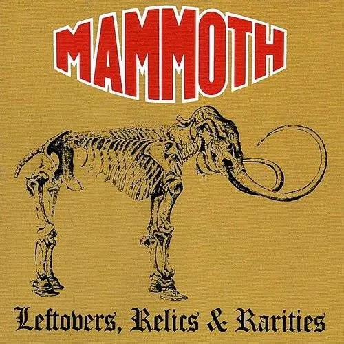 Leftovers Relics & Rarities