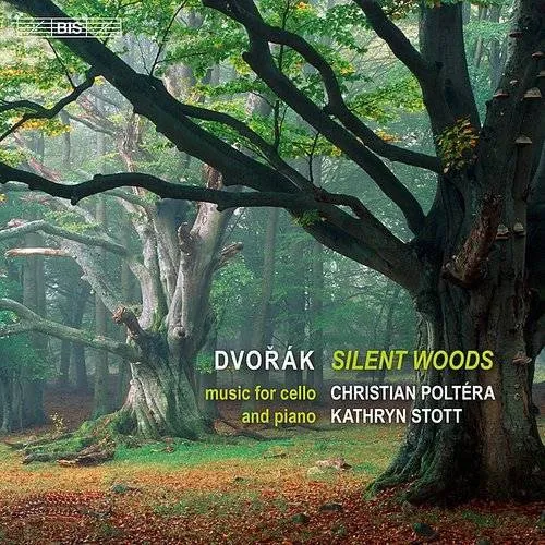 Silent Woods