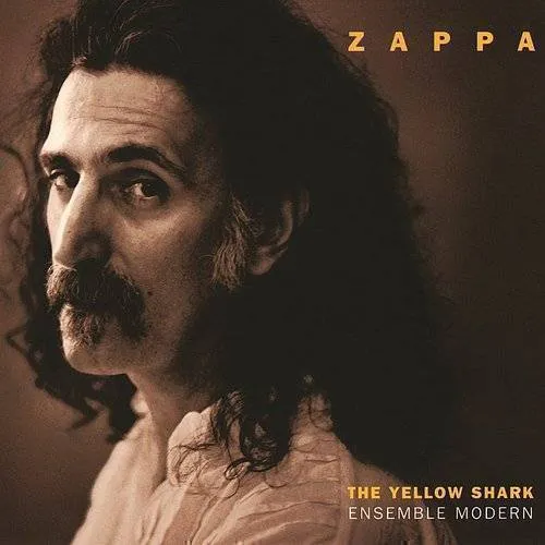 Yellow Shark