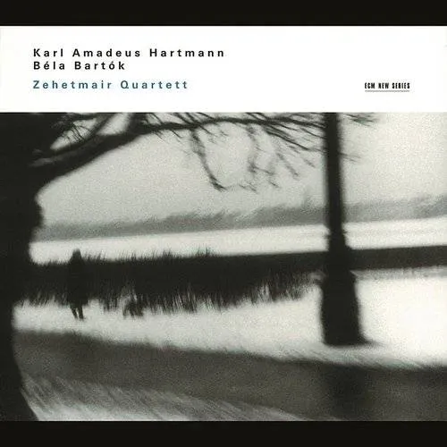 String Quartet 1 / String Quartet 4
