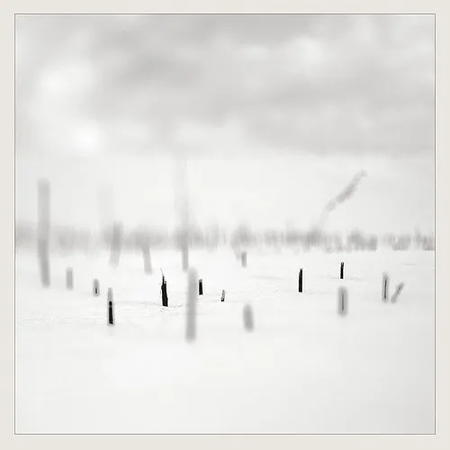 In a Place of Such Graceful Shapes