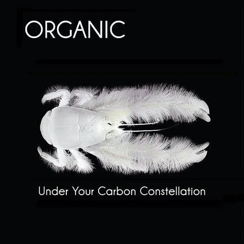 Organic, Primary Research Group Staff - Under Your Carbon Constellation vinyl record cover